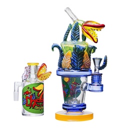 [acm242] Glass Bong Cheech Glass 10.5" Venus And The Fly